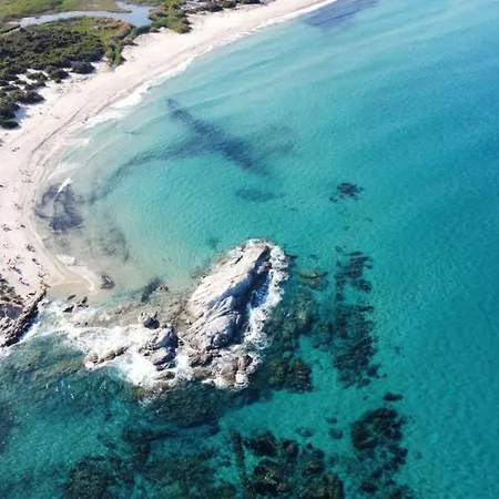 Eliselena Vacation Ever * וילסימיוס