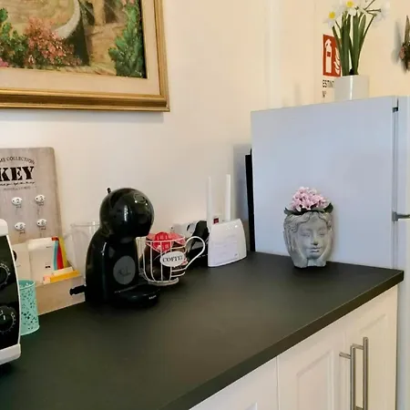 Eliselena Vacation Ever *