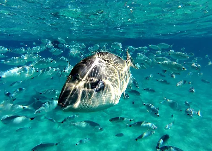 Eliselena Vacation Ever * Villasimius